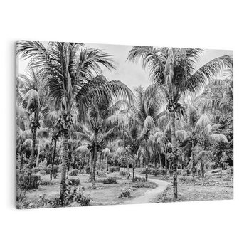 Obraz na płótnie 70x50 - Mroczna Ścieżka Tropików - czarno biała fotografia, ścieżka pośród palm