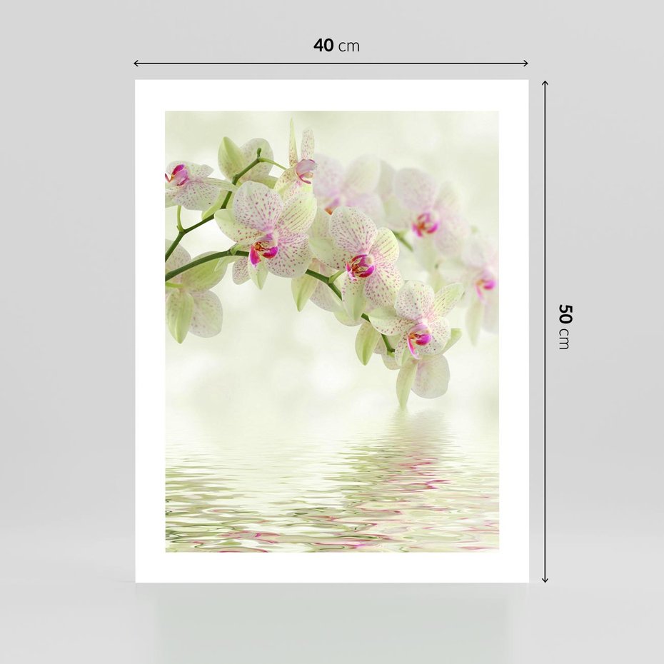 Plakat bez ramy 40x50 - Orchidea w Spa - orchidea, kwiaty