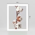 Plakat bez ramy 40x50 - Spokojna Gałązka Bawełny - gałązka bawełny, prosta spokojna fotografia