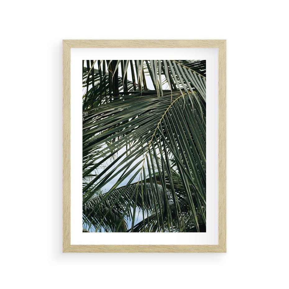 Plakat w ramie 30x40 - Wakacyjna Magia - palmy, tropiki - rama drewno