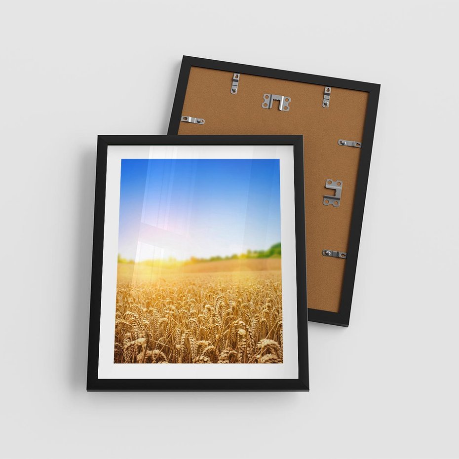 Plakat w ramie 40x50 - Żyzne Pola - pole, pszenicy - rama czarna