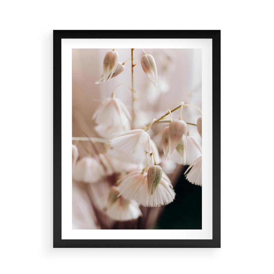 Plakat w ramie 50x70 - Suszona Delikatność - suszone kwiaty, rośliny - rama czarna