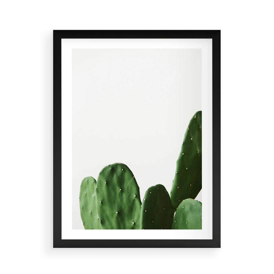 Plakat w ramie 50x70 - Minimalizm Natury - kaktus, zbliżenie - rama czarna