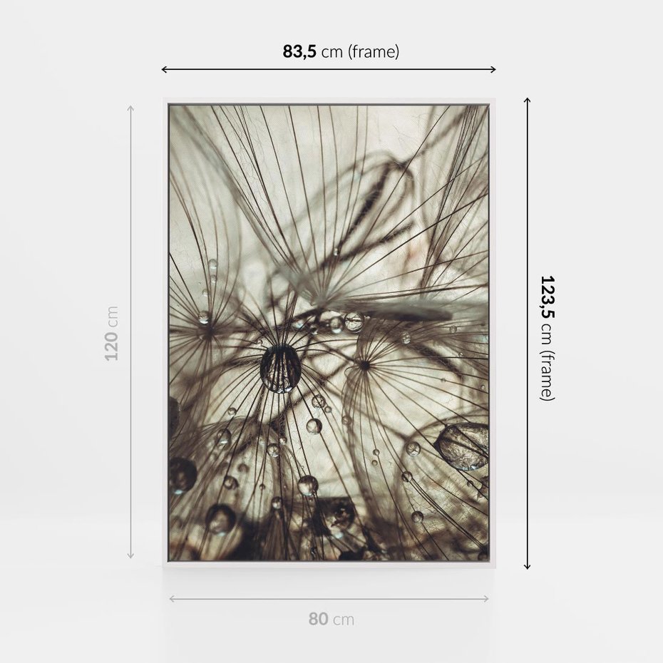 Obraz w ramie 80x120 - Lekkie dmuchawce - dmuchawce, krople - rama biała