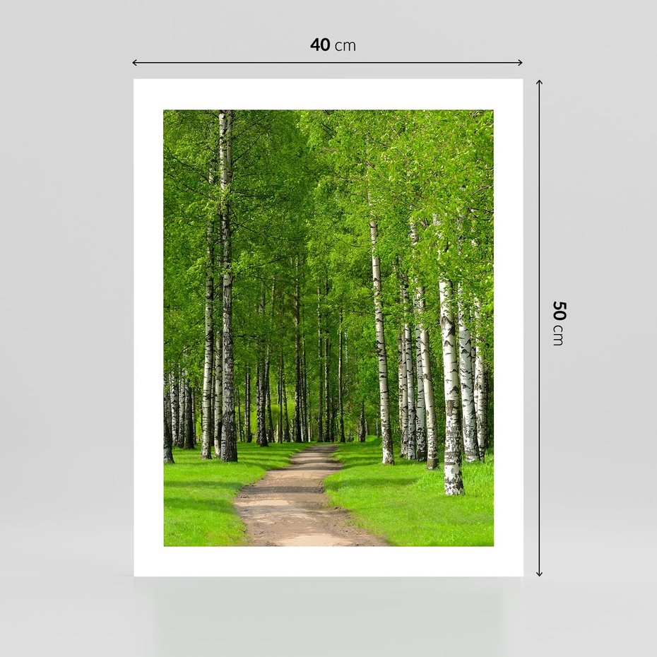 Plakat bez ramy 40x50 - Spacer Ścieżką w Urokliwym Lesie - las, ścieżka