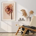 Plakat w ramie 30x40 - Delikatne piękno - suche, kwiaty - rama drewno