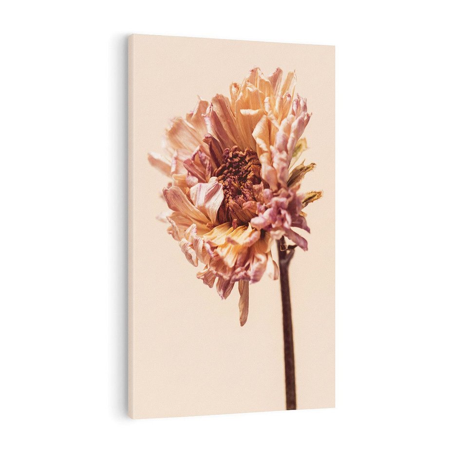 Obraz na płótnie 50x70 - Delikatne piękno - suche, kwiaty