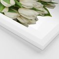 Plakat w ramie 40x50 - Białe tulipany w pełnym rozkwicie - białe, tulipany - rama biała