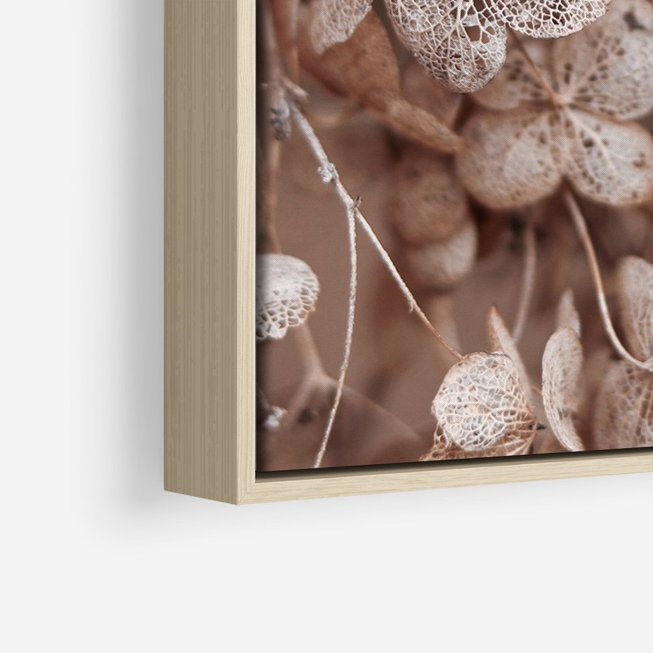 Obraz w ramie 50x70 - Przemijająca Piękność - fotografia, zbliżenie - rama drewno