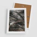 Plakat w ramie 50x70 - Liściaste Palmy - palmy, drzewa palmowe - rama biała