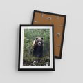 Plakat w ramie 30x40 - Spotkanie z Niedźwiedziem w Lesie - niedźwiedź, las - rama czarna