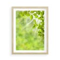 Plakat w ramie 50x70 - Zielone liście natury - liści, zieleń - rama drewno