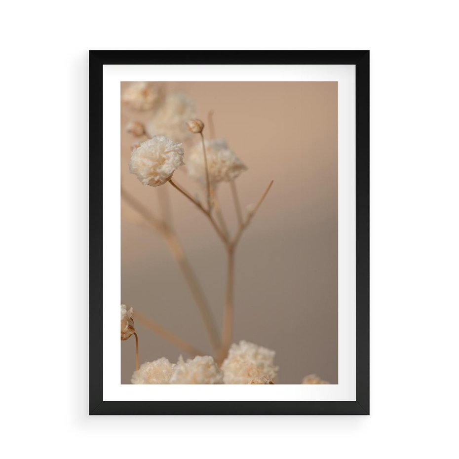 Plakat w ramie 50x70 - Subtelna gipsówka - gipsówka, suche - rama czarna