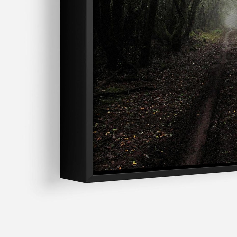 Obraz w ramie 50x50 - Urok Drogi - las, droga - rama czarna