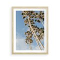 Plakat w ramie 50x70 - Pod Niebem Palmy - palmy na niebieskim niebie - rama drewno