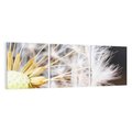 Obraz na płótnie 150x50 - Dmuchawiec: lekkość natury - dmuchawiec, natura