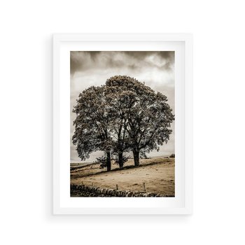 Plakat w ramie 40x50 - Spokojna Osamotniona Chwila - beżowe kolory, samotne drzewo na polu - rama biała