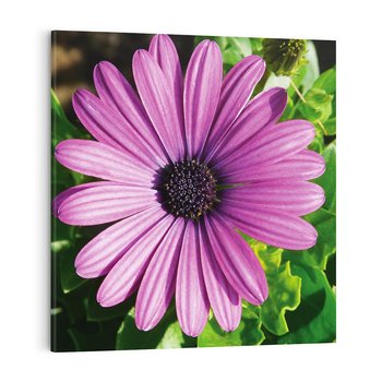 Obraz na płótnie 60x60 - Kwiatowy Dotyk - kwiat, kwiaty