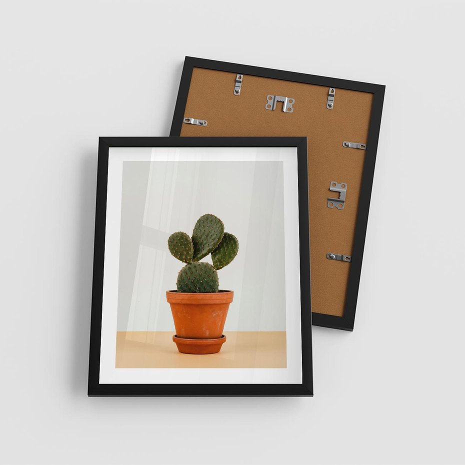 Plakat w ramie 40x50 - Kwiatowy taniec kaktusa - kaktus, kwiat - rama czarna