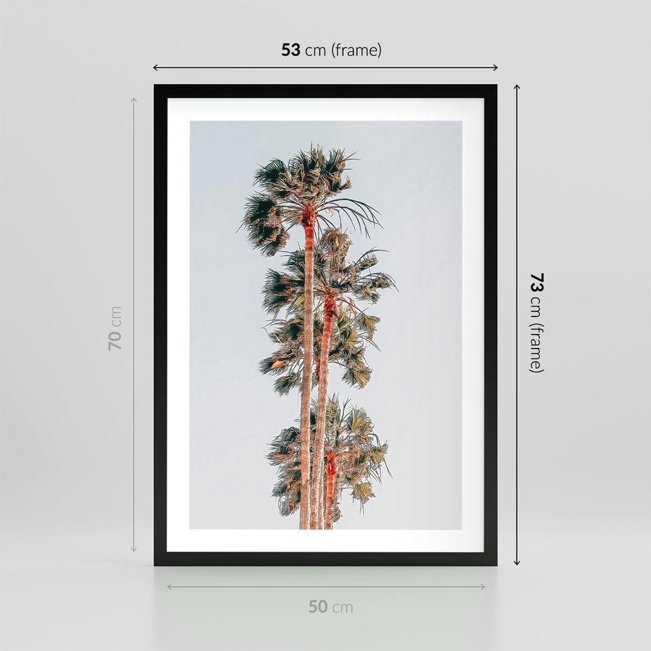 Plakat w ramie 50x70 - Kształty Palm - palmy, zdjęcie - rama czarna