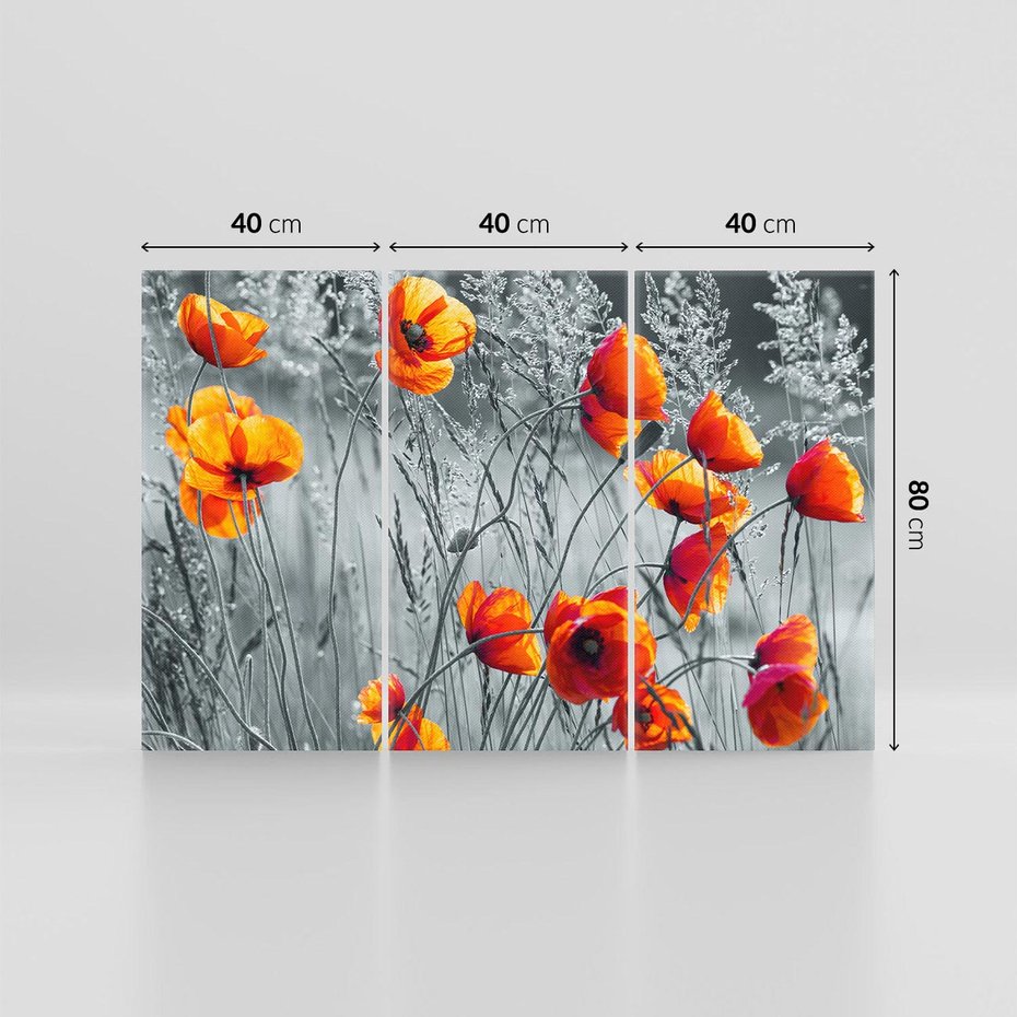 Obraz na płótnie 120x80 - Malownicza łąka - maki, mak