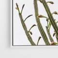 Obraz w ramie 70x50 - Ekskluzywna Roślinność - kaktusy, liście - rama biała