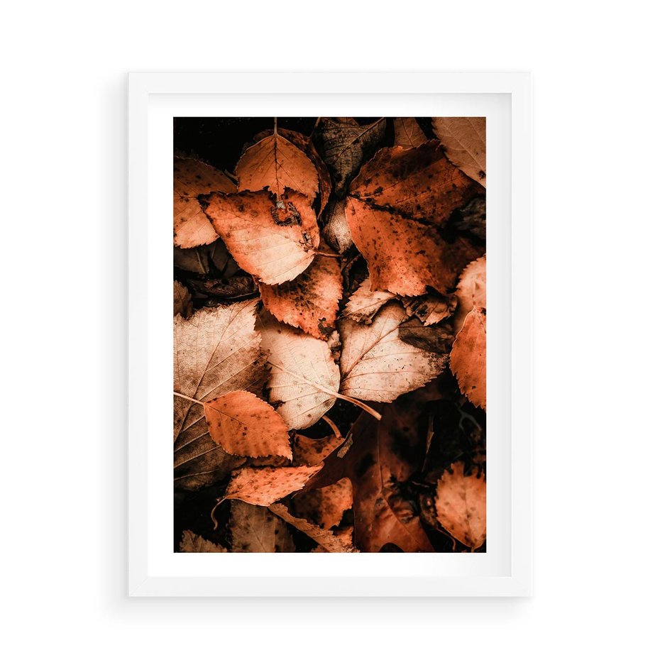 Plakat w ramie 50x70 - Jesienna Paleta - liście, jesień - rama biała