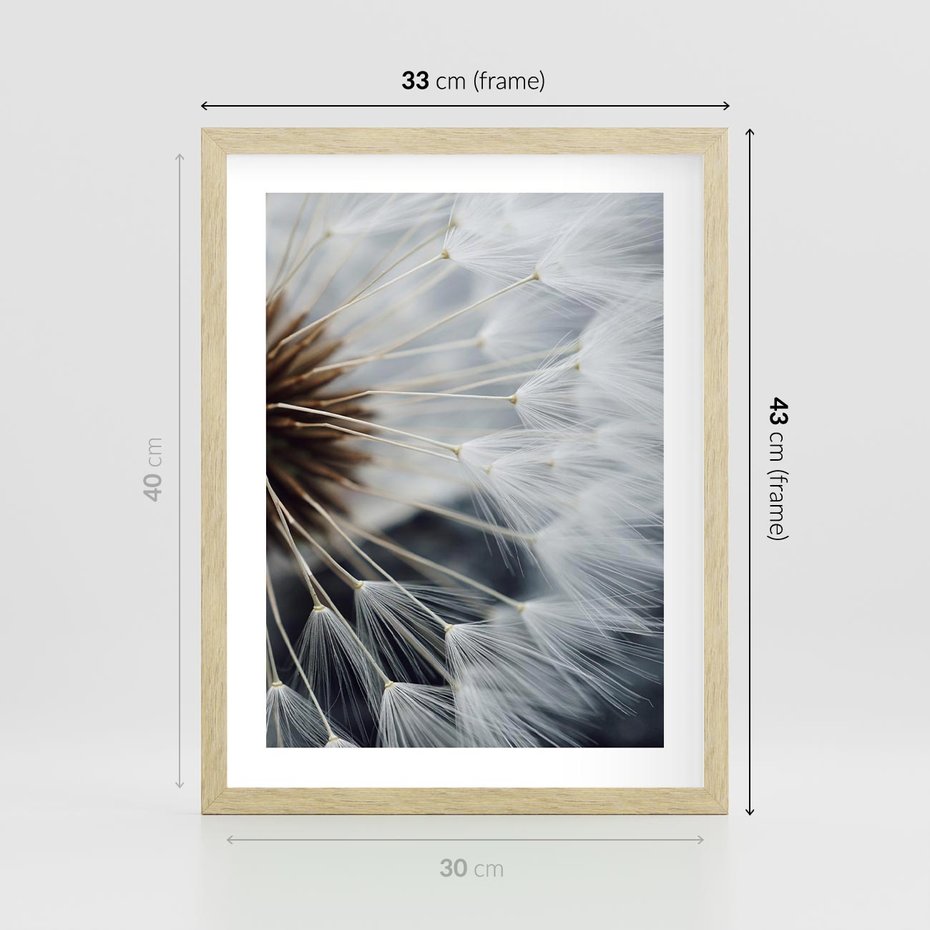 Plakat w ramie 30x40 - Dmuchawce w Naturze - dmuchawiec, zbliżenie - rama drewno