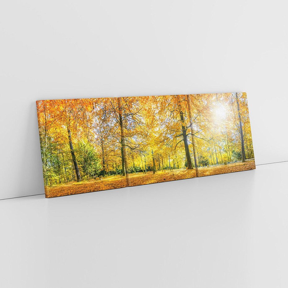 Obraz na płótnie 120x40 - Jesień w Lesie: Urok Lasu - jesień, las