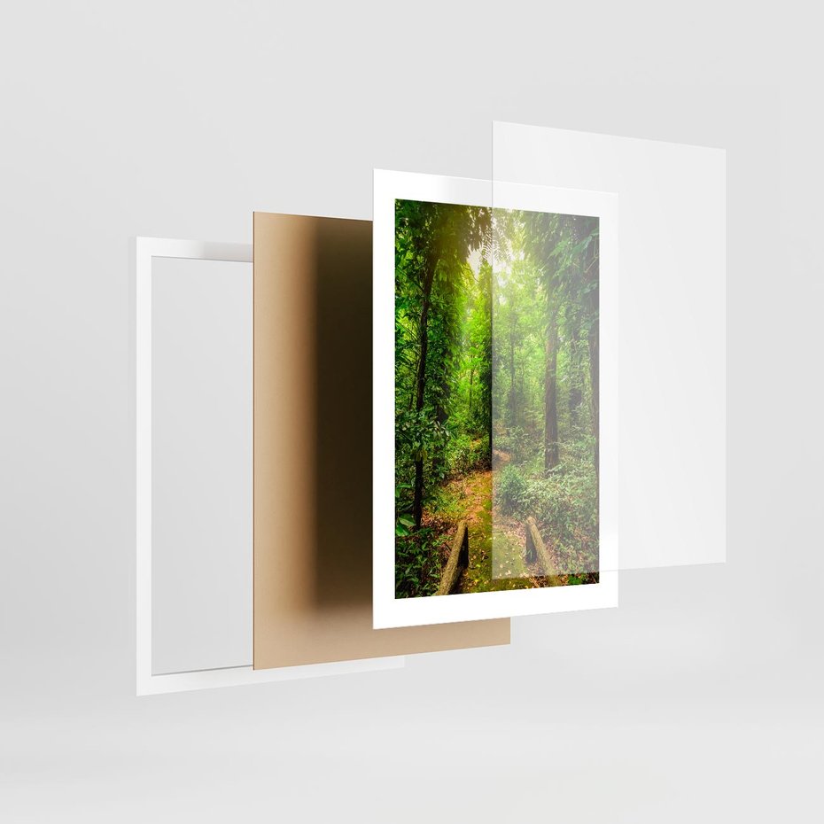 Plakat w ramie 30x40 - Współistnienie z naturą - drzewa, las - rama biała