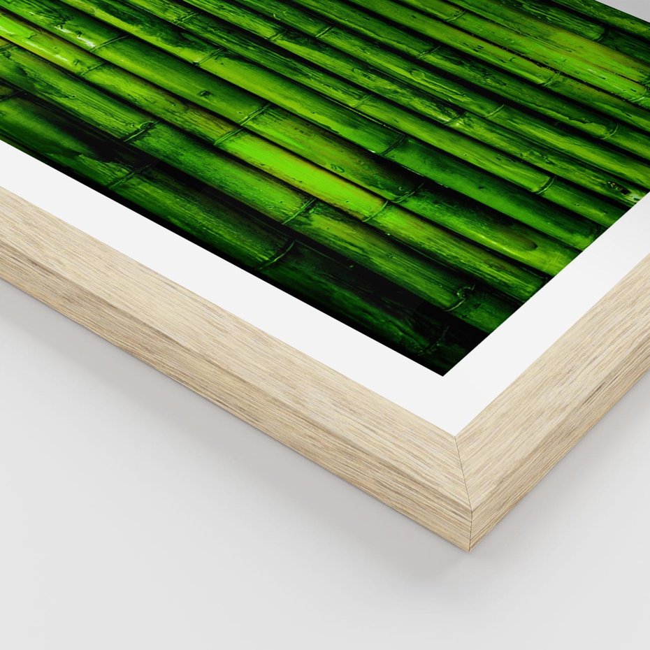 Plakat w ramie 40x50 - Bambusowy urok zielonej harmonii - bambus, zieleń - rama drewno