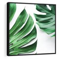 Obraz w ramie 50x50 - Monstera - Liście Kwiaty - monstera, liście - rama czarna