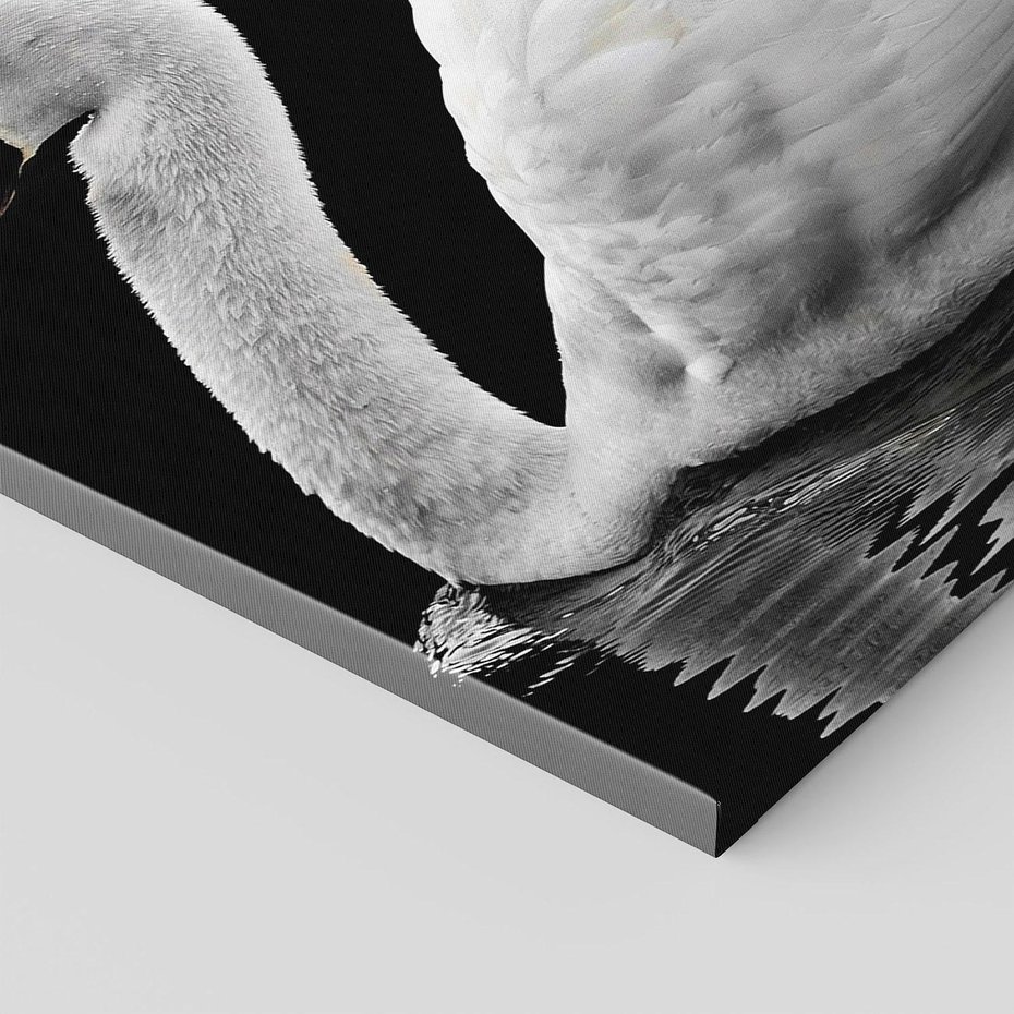 Obraz na płótnie 120x80 - Delikatne Uderzenie Skrzydeł Łabędzia - łabędź, ptak