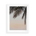 Plakat w ramie 50x70 - Tropikalna Harmonia - palmy na tle nieba - rama biała