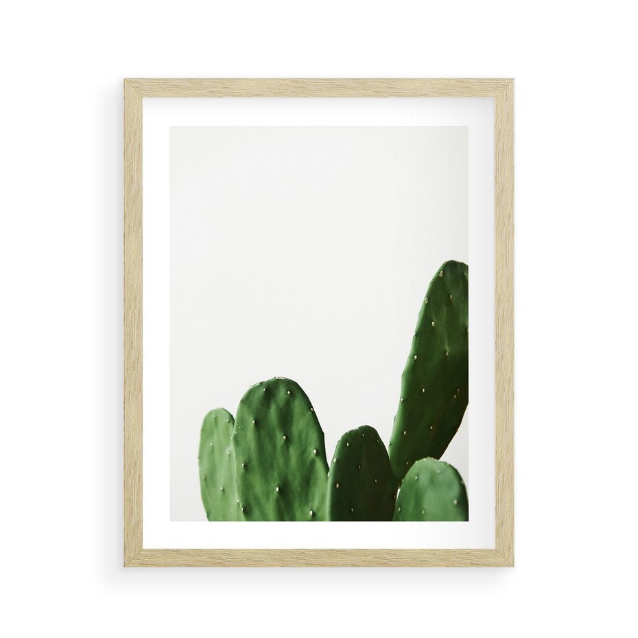 Plakat w ramie 40x50 - Minimalizm Natury - kaktus, zbliżenie - rama drewno