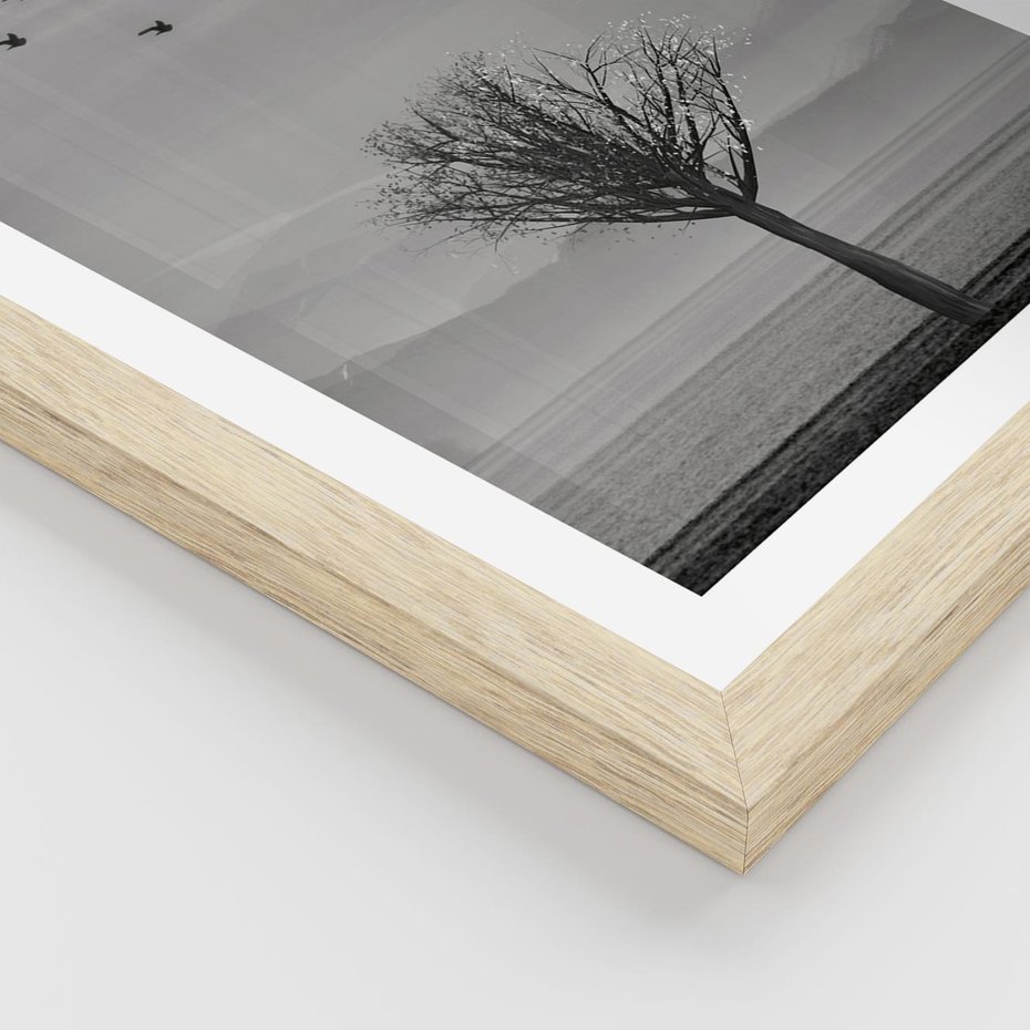 Plakat w ramie 30x40 - Samotne Drzewo - samotne drzewo w polu, czarno białe zdjęcie - rama drewno