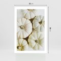 Plakat bez ramy 21x30 - Jesienne Dynie: Delikatna Kompozycja - białe dynie, jasna kompozycja