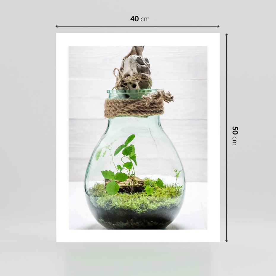 Plakat bez ramy 40x50 - Żywioł Natury - liście, zieleń