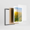 Plakat w ramie 30x40 - Idylla na łące słoneczników - łąka, słoneczniki - rama czarna