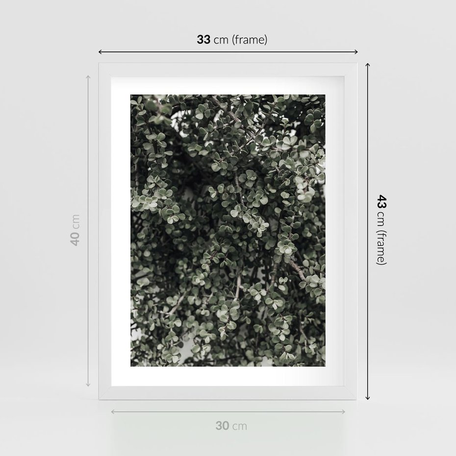 Plakat w ramie 30x40 - Jasnozielone Liście i Gałązki - liście, gałązki - rama biała