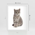 Plakat w ramie 40x50 - Kocie uroki na płótnie - kot, kotek - rama biała