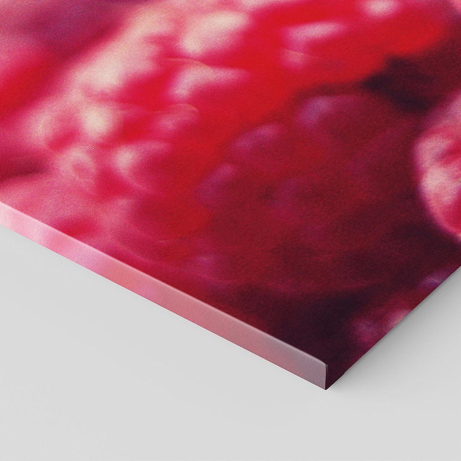 Obraz na płótnie 120x60 - Maliny Soczysta Eksplozja - maliny, owoce