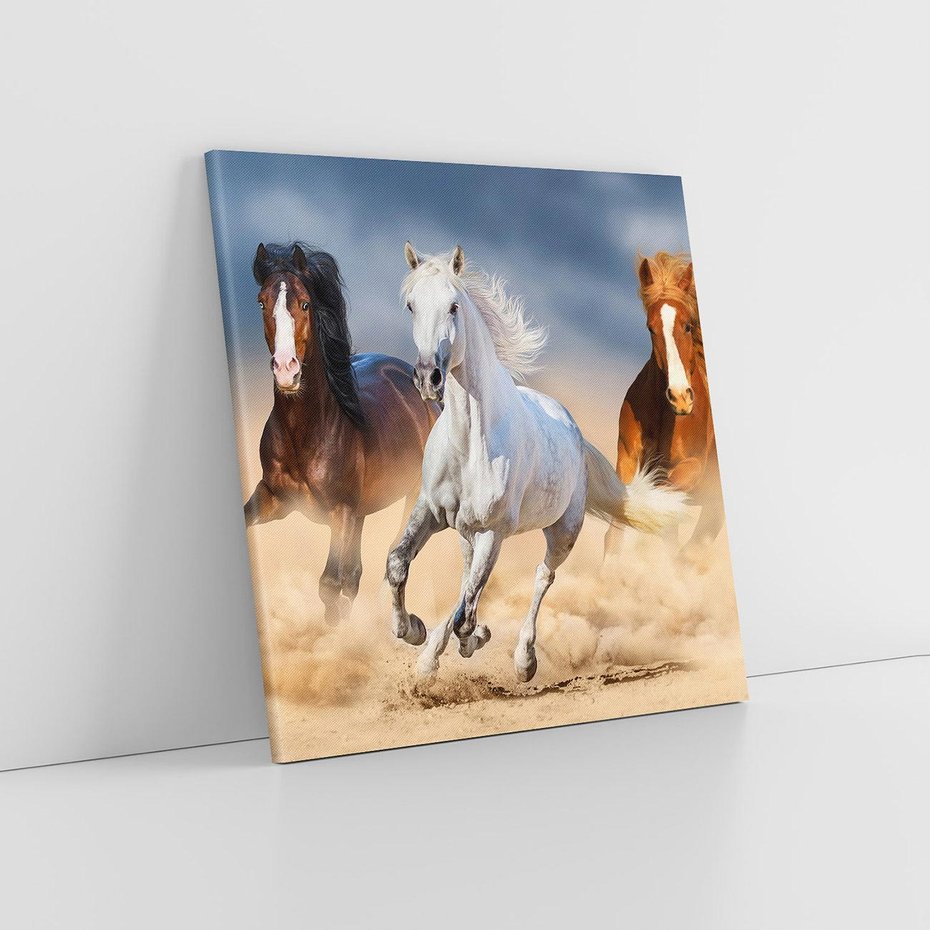 Obraz na płótnie 30x30 - Siła i elegancja - konie, galop