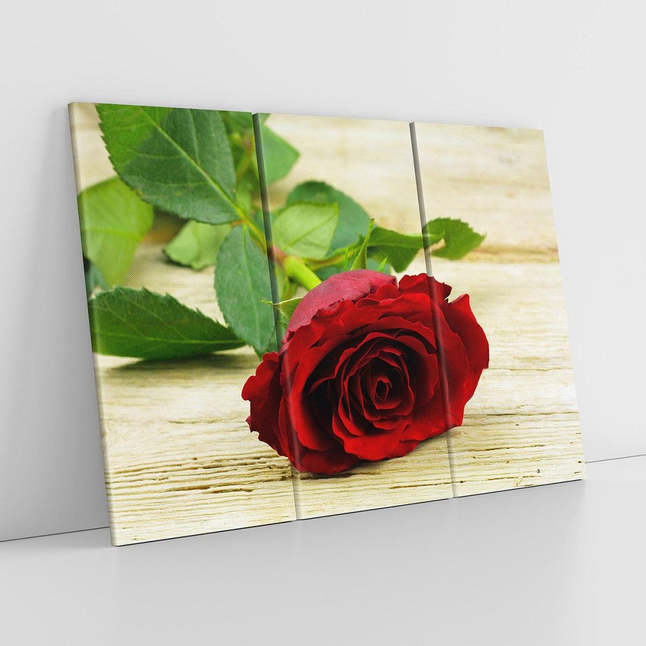 Obraz na płótnie 120x80 - delikatność kwiatu - róża, kwiat