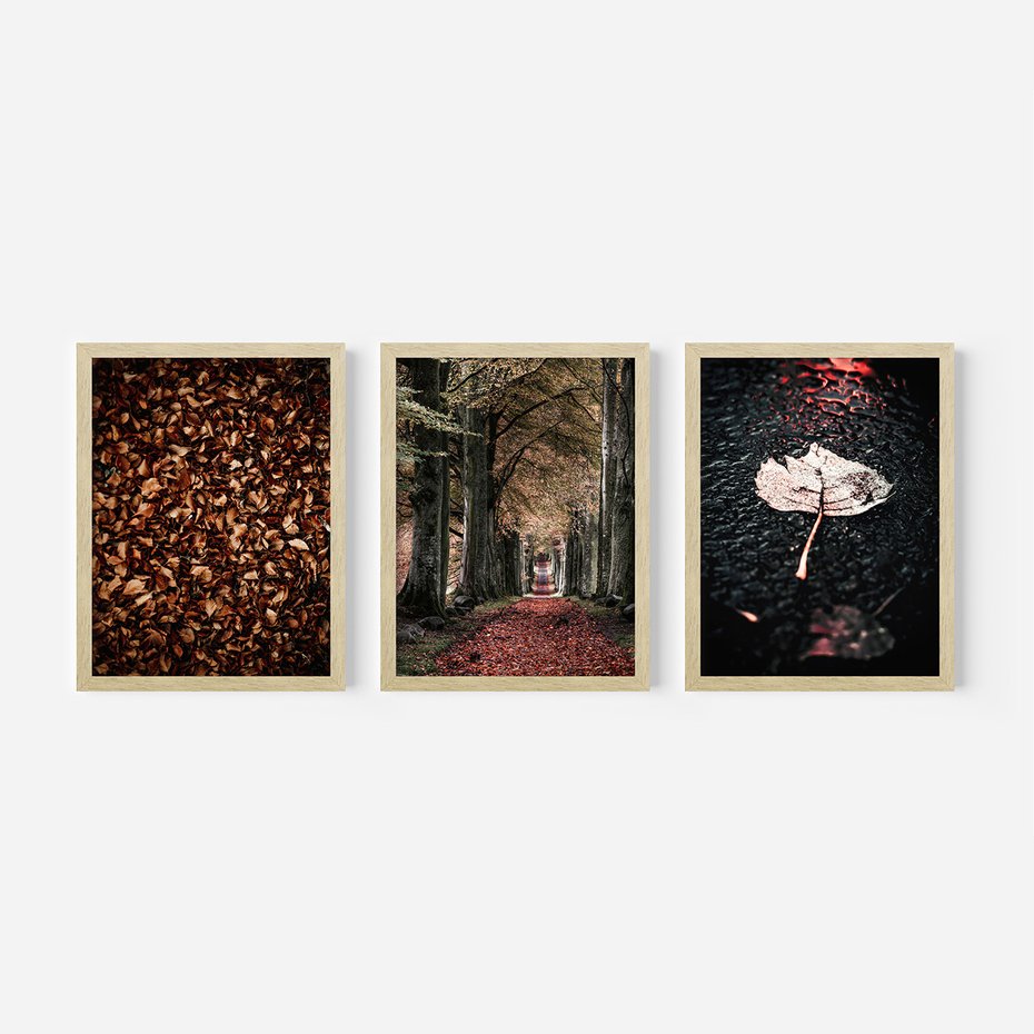 Zestaw obrazy w ramie 40x50 galeria - Jesień, ścieżka, klimatyczna - rama drewno