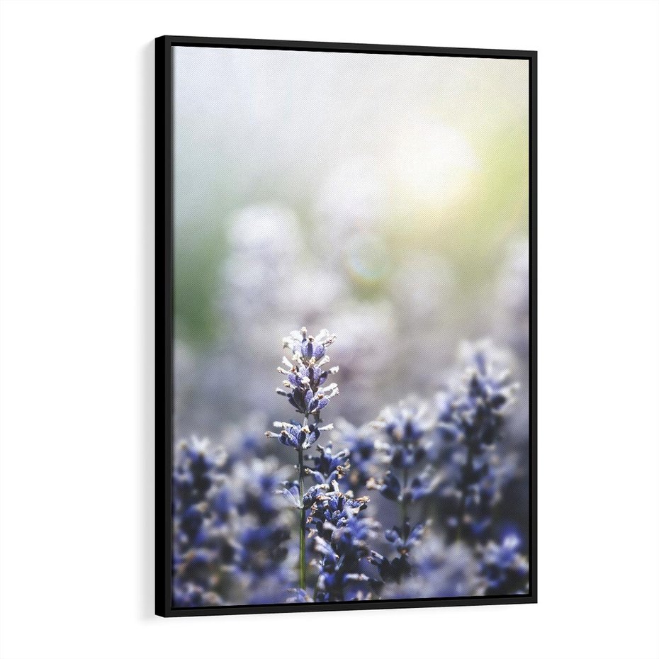 Obraz w ramie 50x70 - Delikatna Uroda Natury - wrzosy, fiolet - rama czarna