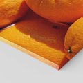 Obraz na płótnie 120x80 - Pomarańcze Owoce - pomarańcze, owoce