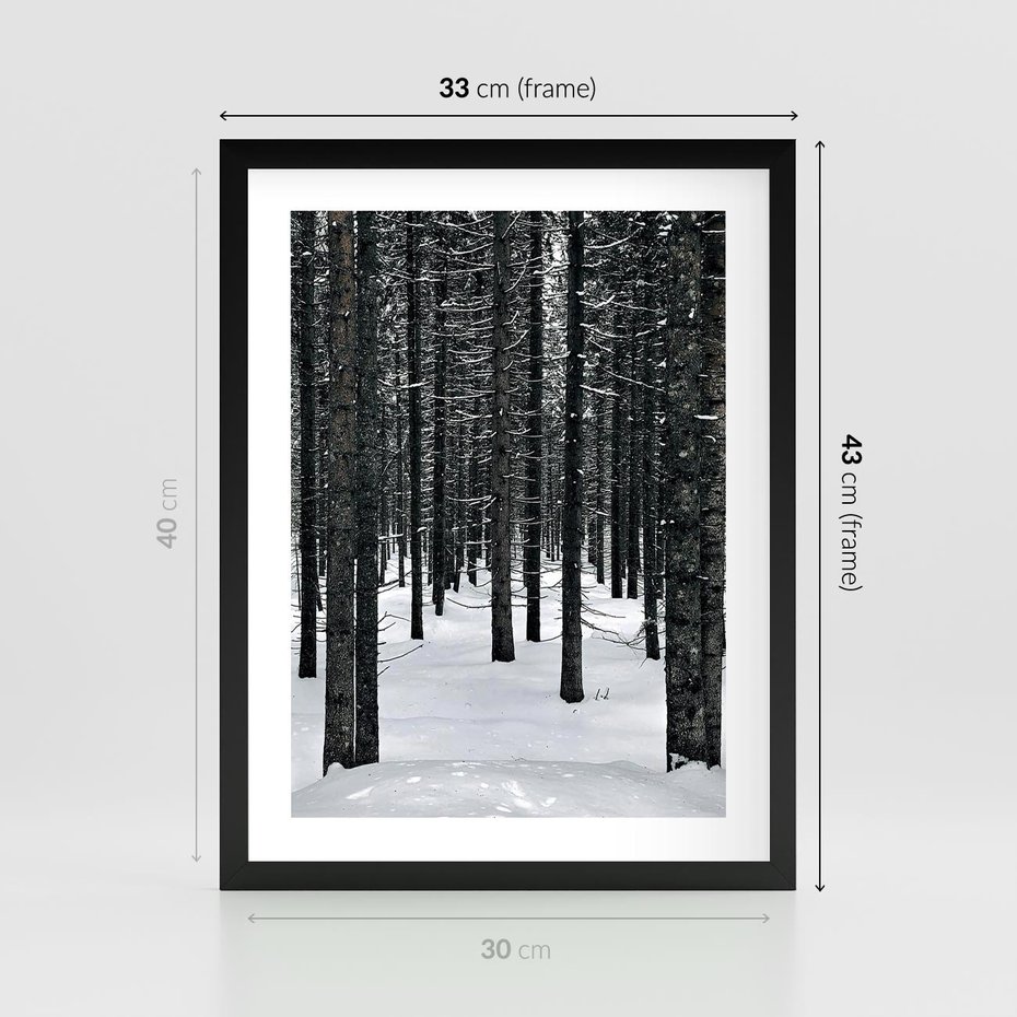 Plakat w ramie 30x40 - Zimowe Drzewa: Śnieg na Pniach - drzew w zimi, pnie drzew - rama czarna