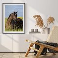 Plakat bez ramy 21x30 - Siła i piękno natury - koń, łąka