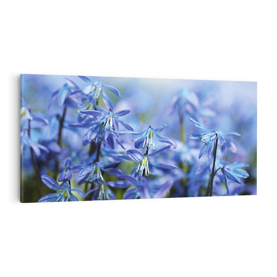 Obraz na płótnie 100x50 - Kwiatowa symfonia natury - kwiat, kwiaty